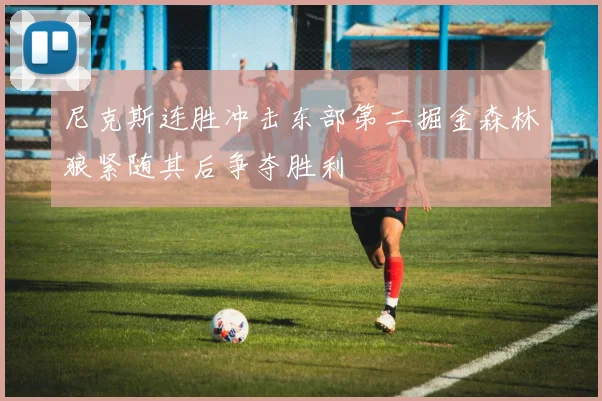 尼克斯连胜冲击东部第二掘金森林狼紧随其后争夺胜利